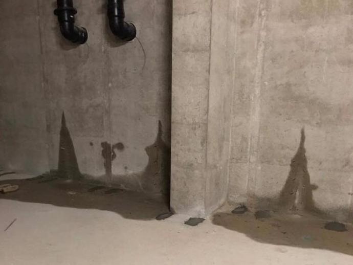 22221712 1118868294882314 1616389752407218786 n2